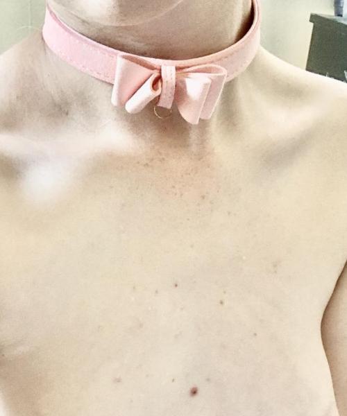 TricksTreats contest photo