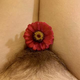 flower boy photo gallery by TricksTreats