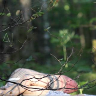 Ursinae Vespera photo