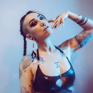 Ursinae Vespera photo