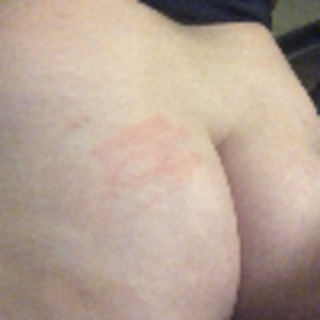 Starter kit photo gallery by VickieSweet