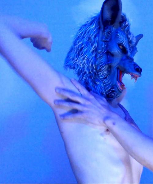 Visser contest photo