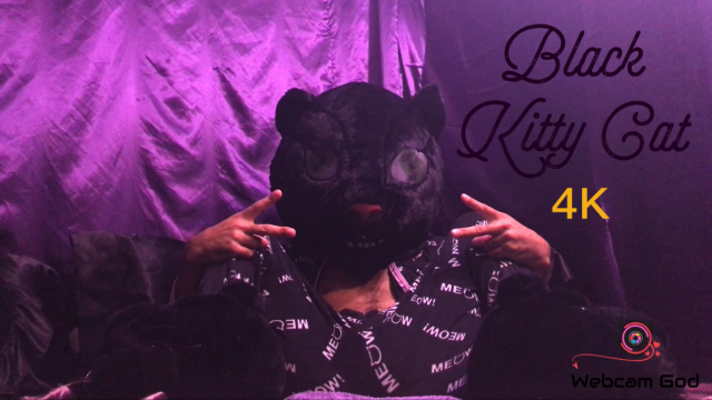 Black Kitty Cat (4K) video from Arthur Eden