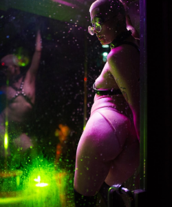 Willow Gentry at APClips.com