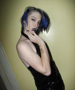 Xena Kitty at APClips.com