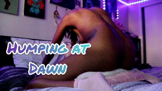 Humping At Dawn video from XMochaPuffx