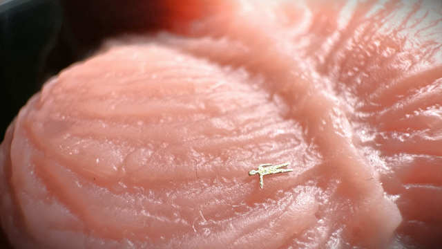 Shruken and stuffed down a cock to become sperm video from Miss Ser