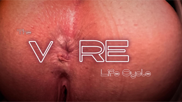 Vore Life Cycle video from Miss Ser