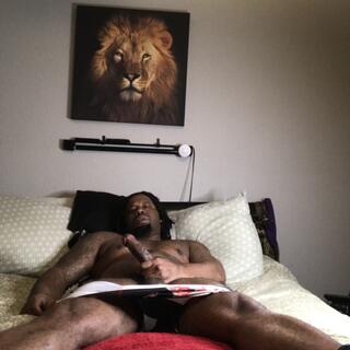 MsCoco/YoLicka photo